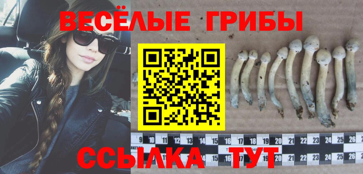 Галлюциногенные грибы GOLDEN TEACHER  Вход с VPN  Лесозаводск  Псилоцибиновые грибы ЛСД 