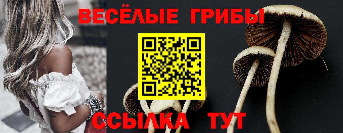 Галлюциногенные грибы ЛСД Лесозаводск